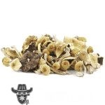 Wholesale Shrooms - Texas Envy