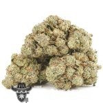 Blue Afghani AA - Indica - Image 2