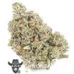 Wholesale - Grand Master Kush - AAAA - Image 3
