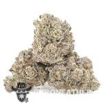 Gucci Pink AA - Indica - Image 2