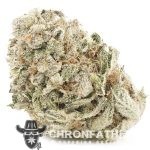 Hazy Margarita AA - Sativa
