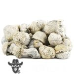Shrooms - Iceberg - Image 2