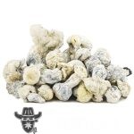 Shrooms - Jack Frost - Image 2