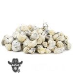 Shrooms - Pearly Gates - Image 2