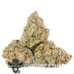 Albino Rhino AAA - Indica - Image 2