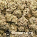 Albino Rhino AAA - Indica - Image 3