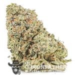 G13 Widow AAAA - Indica