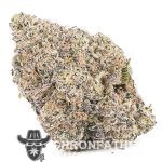 King Kong AAA - Indica