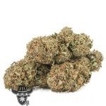 Master Hammer AA - Indica - Image 2