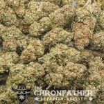 Master Hammer AA - Indica - Image 3
