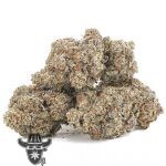Peyote Purple AAA - Indica - Image 2