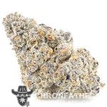 Purple Gas AAAA - Indica