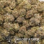 Sunset Sherbet A - Indica - Image 3