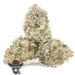 Jedi Kush Craft - Indica - Image 2