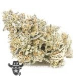 Jungle Cake AAAA - Hybrid
