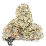 Jungle Cake AAAA - Hybrid - Image 2